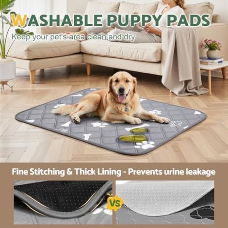 Tapis Éducateur pour Chien Lavable Réutilisable, Lot de 2 (100×70cm), Tapis Ultra Absorbant Anti-Fuites et Antidérapant, Convient aux Chiens, Chats, Cochons d'Inde et Lapins (1/5)