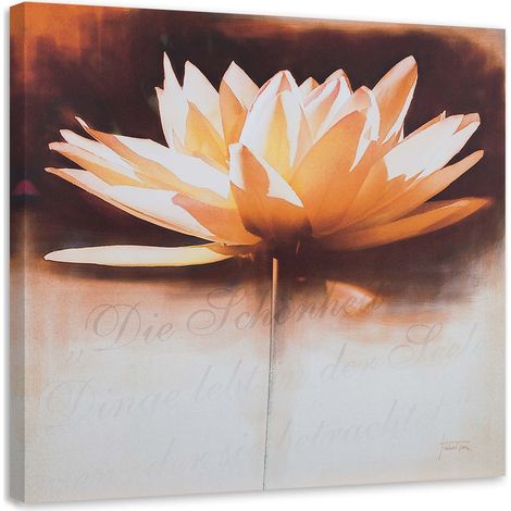 Tableau sur toile Nénuphar fleur nature 50x50 (1/5)