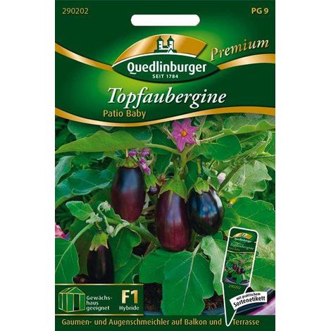 Quedlinburger Topfaubergine Patio Baby - Gemüsesamen