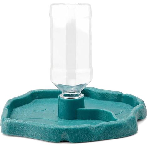 Gamelle pour Reptiles et Tortues, gamelle pour et Eau Distributeur Automatique pour Aliments en Plastique Transparent Distributeur Automatique (1/4)