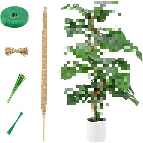 Tuteur en mousse pour plantes grimpantes d'intérieur, tuteur flexible, bâtonnet en cocotier de 64 cm (25 po) : 1 pièce + accessoires (1/5)