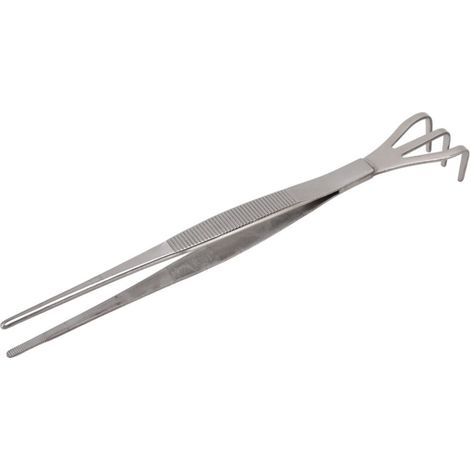 Pince En Acier Inoxydable Pour Transplanter Les Plantes Grasses Et Les Bonsaïs - Modèle Droit - KZQ