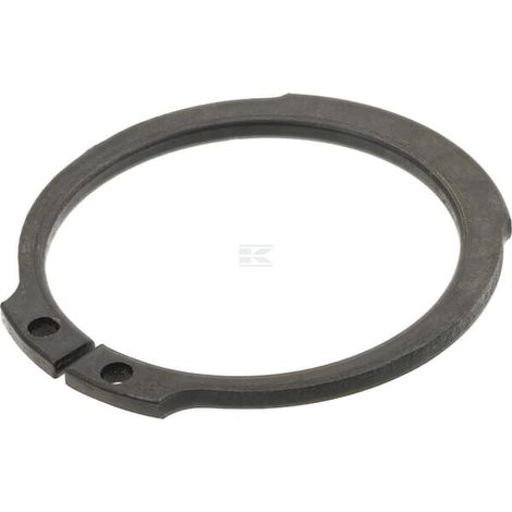 Anillo de retenci贸n CLAAS 0002344520
