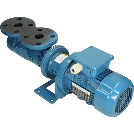 N15/4, pompe à broche hélicoïdale OEG DN 25, 702 l/h pour4 bar, 1450 tours/min
