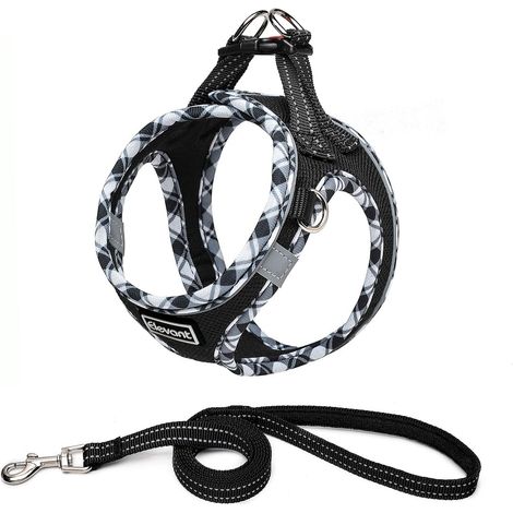 Harnais Chien, Step-in Harnais pour Chiens avec Laisse, Réfléchissant Respirant Mesh Doux Confort Réglable Gilet Harnais pour Petite Chiens Chats pour Marcher Courir Formation (M, Noir) (1/5)