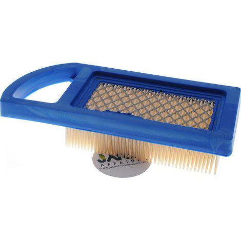 Filtre à air compatible avec Briggs Stratton remplace 794421 (1/3)