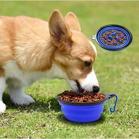 Foldable Silicone Dog Bowl - Portable Travel Bowl with Hook for Food and Water - Anti-Overflow for Cat and Dog - Transport/Car/Outdoor (1/5)