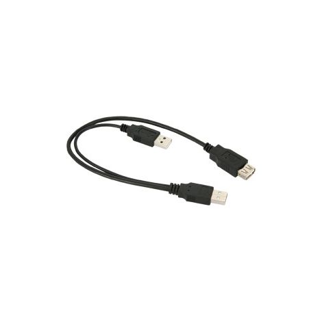 USB 2.0 Hi-Speed Dual-Power Kabel, schwarz, USB-2.0-Stecker (Typ A) + USB-2.0-Stecker (Typ A) USB-2.0-Buchse (Typ A). Kabellänge 0.3 m (1/2)