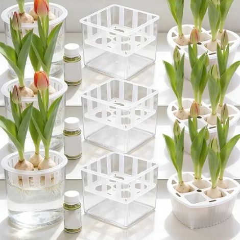Pots hydroponiques à 6 compartiments pour tulipes, bulbes, paniers de support respirants en plastique, conteneurs de plantation de fleurs, pots de pépinière hors-sol pour jardinage