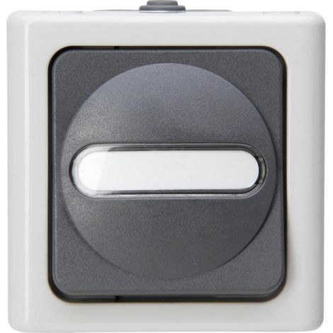 Kopp 560756009 Wechselstromschalter grau IP44 (1/5)