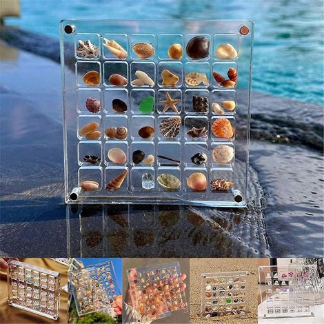 Boîte d'exposition magnétique en acrylique pour coquillages, coquillage en acrylique transparent à grille, D-- (1/5)