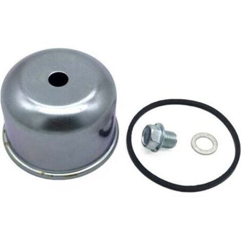 Kit de réparation de carburateur compatible avec Briggs & Stratton 495933 494378 693614 Float Bowl. (1/3)