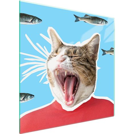 Glasschutzplatte für den Herd 50x52 Kat. (1/5)