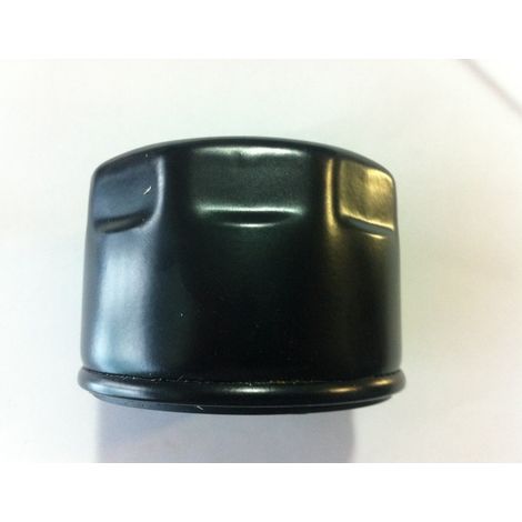 Filtro nafta esterno MOTORE agricolo DIESEL RUGGERINI RF RD basso 07.055 175.28