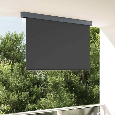 vidaXL Store roulant d'extérieur 160x250 cm Anthracite (1/5)