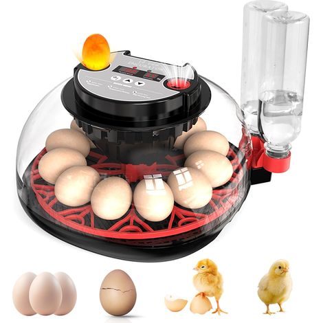 Couveuse Oeuf Automatique, Incubateur Automatique 12 Oeufs, avec Système de Retournement Automatique et Contrôle de la Température,Affichage de l'humidité, pour Éclosion d'Œufs de Poule Canard Caille (1/5)
