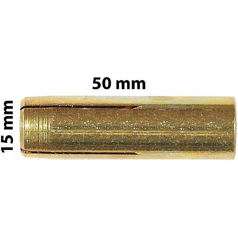 REMS Accessoires pour carotteur Chevilles d'ancrage pour beton M12 50 ³cs