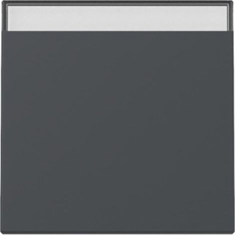 Gira WIPPE BSF SYSTEM 55 ANTHRAZIT (329928 SYSTEM 55)