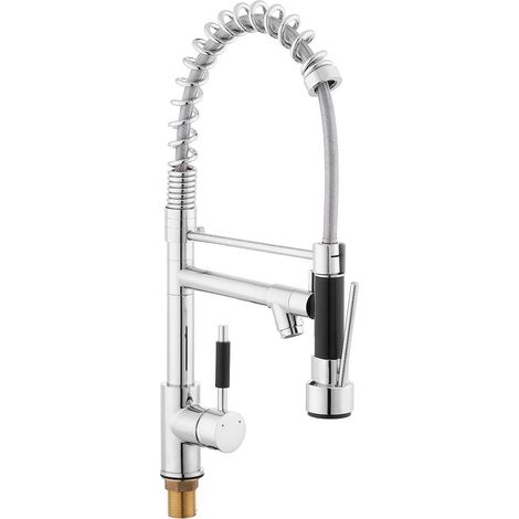 Swiss Aqua Technologies Spültischmischer mit Schwenkarm, 2-Strahl, verchromt (BSD284) (1/5)