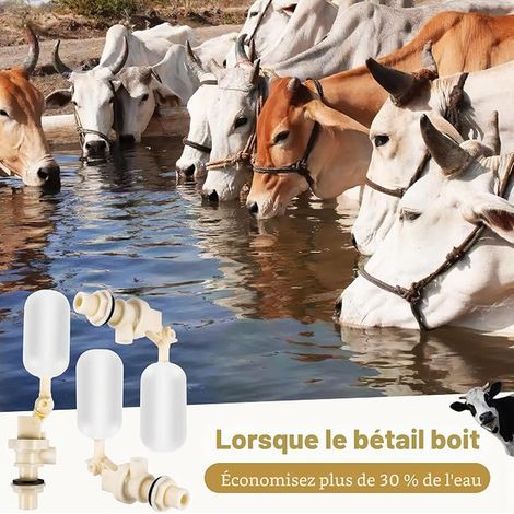 Automatic Water Float Valves for Cattle, Goats, Sheep, Pigs, Dogs, Water Feeders (1/3)