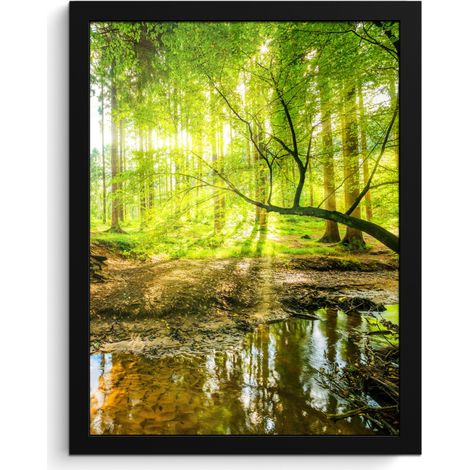 AFFICHE ENCADRÉE Forêt - Paysage - Eau - Arbres - Soleil - Vert - Nature Décoration Murale 30x40 (1/5)