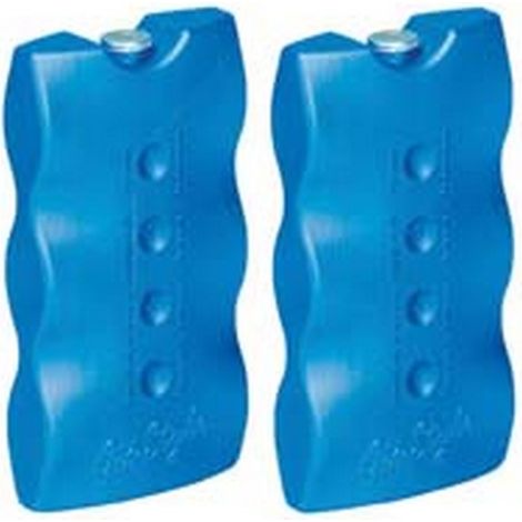 10PZ ghiaccio sintetico per ghiacciaie gr.400 x 2 - gr.400 cm.97x17,3 cm  - pz.2