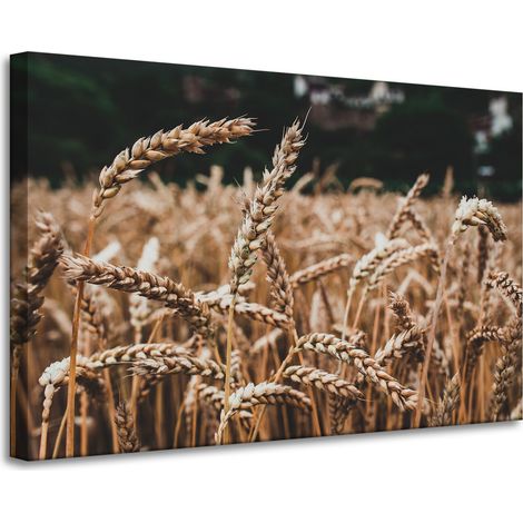 Leinwanddruck „Weizenfeld“ (90 x 60 cm) – Erntezeit