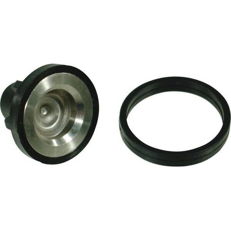 Set di valvole Comet 265/305 COMET 12200042