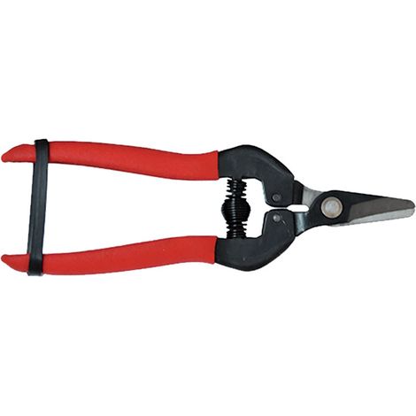 FORBICI COGLIUVA cm 16