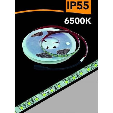 Trade Shop - Striscia Led 2835 5mt Bobina Luz 4000k 3000k 6500k Waterprof Ip55 2835-12v -