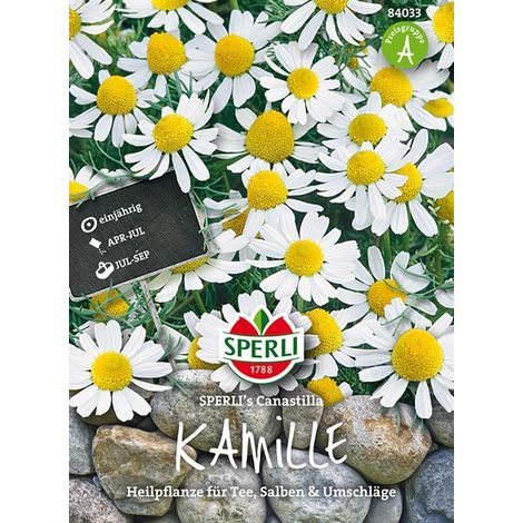 Sperli Kamille Canastilla - Blumen- / Kräutersamen (1/4)