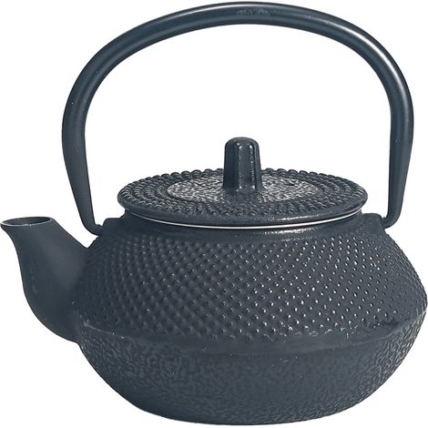 Petite théière de type japonaise noire en fonte 0.3 litre (1/4)