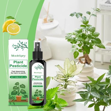 Plant-based insecticide, suitable for home use, flowers, and green plants, gentle on plants -- 100ml -- BIEMMEDUE