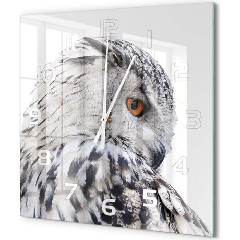 Grande Horloge Murale Carrée Sans Cadre en Verre Trempé Silencieuse et Moderne Hibou blanc 60x60 cm (1/5)