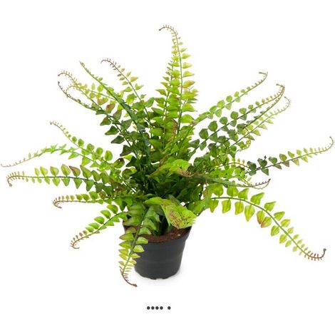 Fougère Blechnum spicant artificielle en pot, H 30 cm, D 35 cm