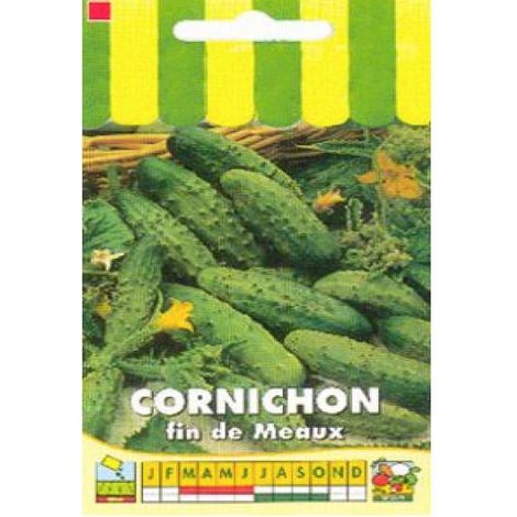 Cornichon 'Fin de Meaux' le sachet de 90 graines (3g) (1/2)