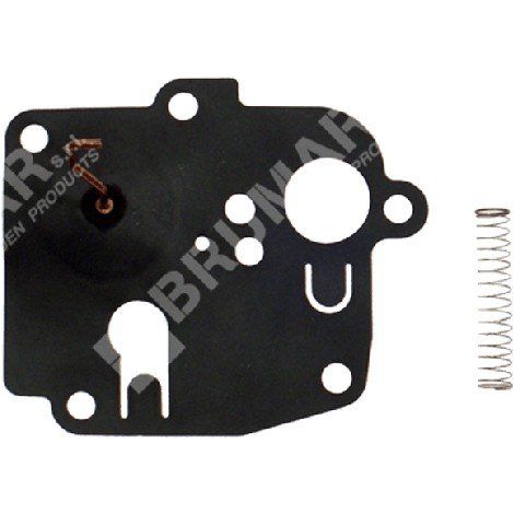 Membrana para carburadores BRIGGS & STRATTON 391681 - 000107