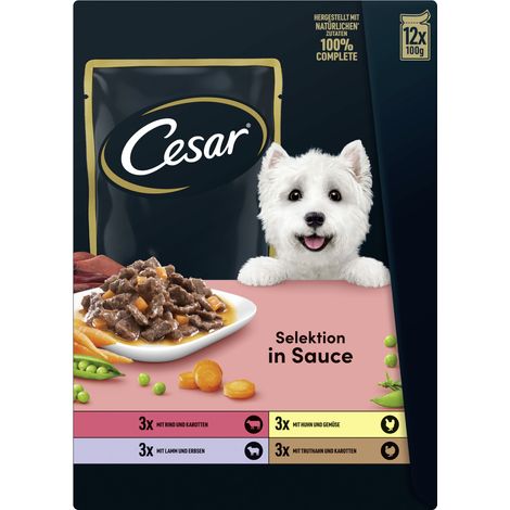 Cesar Hundenassfutter Adut 12 x 100 g in Sauce mit Fleisch (1/2)