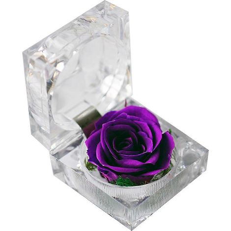 1 rose fraîche préservée sous cloche en verre avec ruban décoratif - Cadeau idéal pour la Saint-Valentin, un anniversaire ou toute autre occasion (violette)-7.75.5cm (1/3)