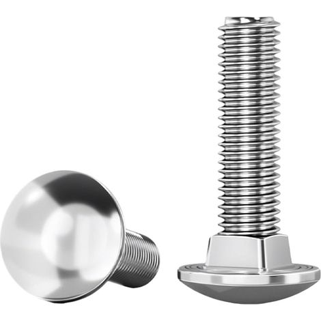 Boulons à tête ronde en acier inoxydable 304, collet carré, DIN603 (1/5)