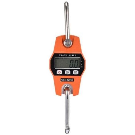 Peson Electronique 300kg Balance Crochet Suspendu Dynamomètre LCD Crochet Peseur Industrielle Pèse Poids 300kg/600lbs (1/3)