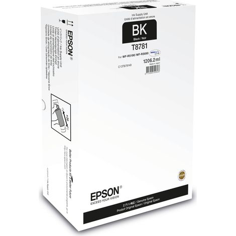 Epson T8781 cartouche d'encre 1 pièce(s) Original Noir (1/3)
