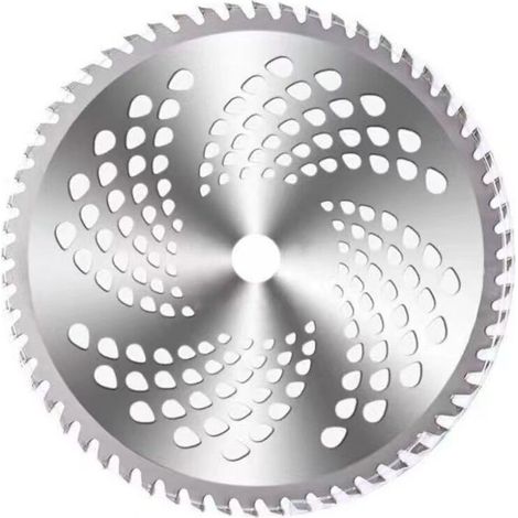Lot de 2 lames circulaires 10 pouces 60 dents – Acier inoxydable – Pour débroussailleuse à essence et électrique – Coupe nette des broussailles - FIL 3 EN (1/5)