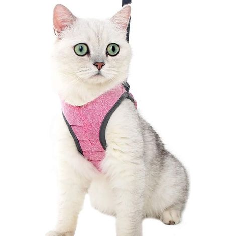 Pettorina per gatti - Kit pettorina e guinzaglio ultraleggero per gatti, pettorina regolabile per gattini, cuccioli, conigli, furetti, L - Rosa - Taglia (S) (1/5)