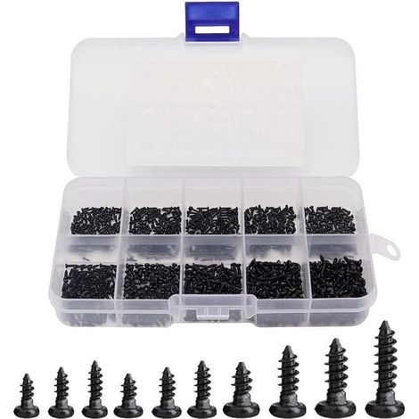 – Packung mit 1000 Mini-Holzschrauben mit Kreuzschlitz (selbstschneidend) – Kohlenstoffstahl – Rundkopf – Sortiment M1 bis M1,7 – Aufbewahrungsbox aus Kunststoff (1/5)