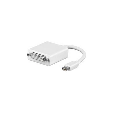 MicroConnect Mini DisplayPort DVI 15 cm (1/4)