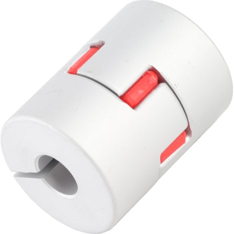 Accouplement de fleur de prunier D25 L30 (1/5)