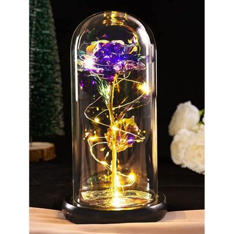 Rose éternelle sous cloche - - Violet - Verre avec lumières LED - Cadeau romantique - Décoratif (1/4)
