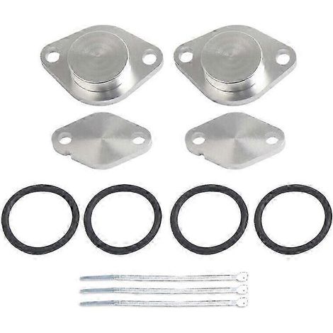 EGR Valve Plate tool For Land Rover Discovery 3 Range Rover 2.7 TDV6 3W (1/5)
