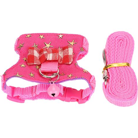 Harnais de promenade pour petits animaux, gilet et laisse, sangle de poitrine pour furet, chinchilla, écureuil, accessoires pour animaux de compagnie (1/5)